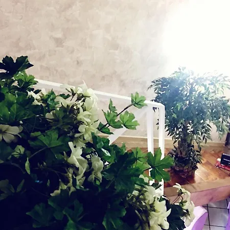 Suite Orchidea By Dimorra Naples Exterior photo
