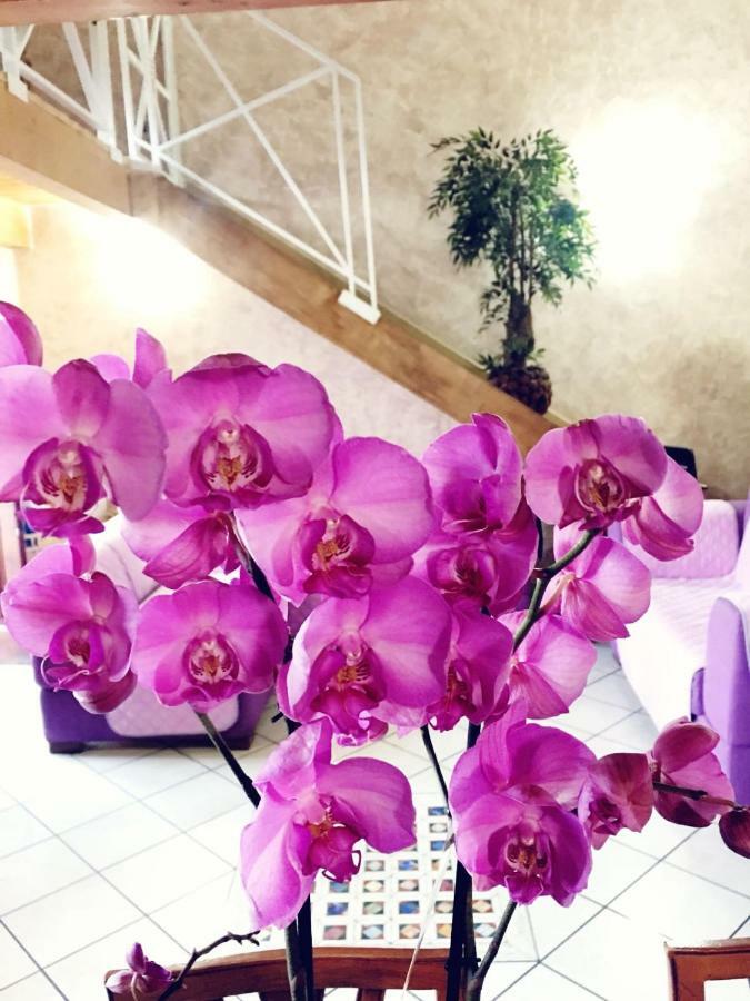 Orchidea By Dimorra * Neapel